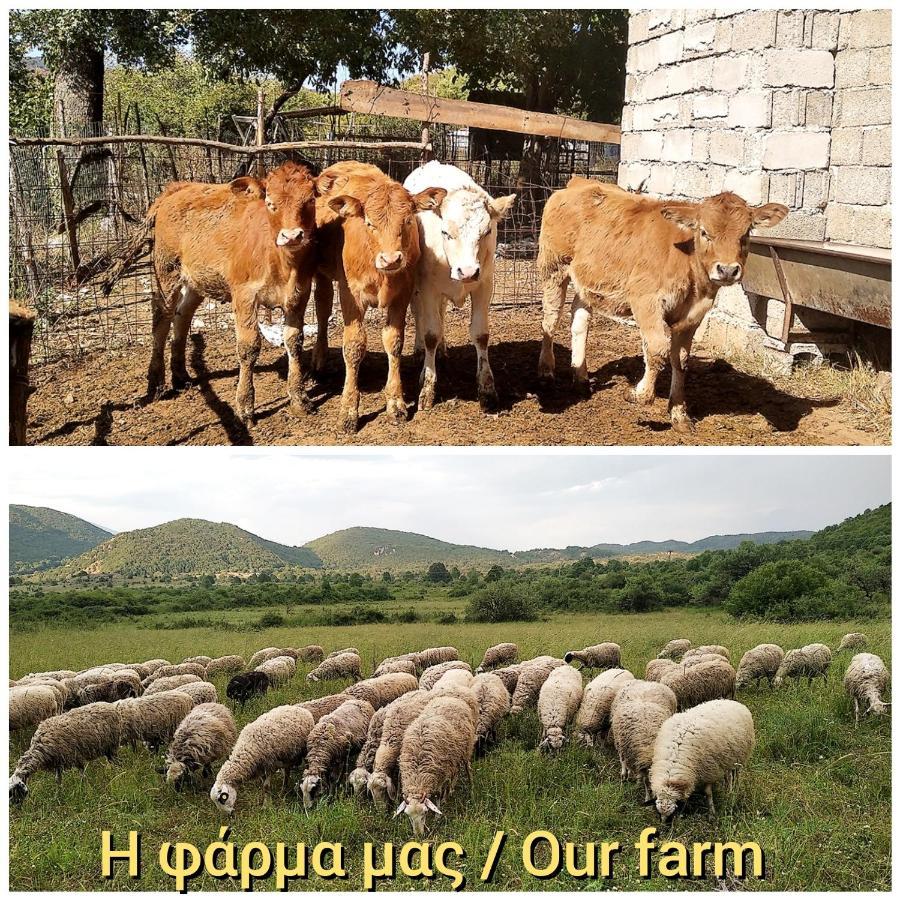 Aloni Guesthouse Áno Pediná Kültér fotó